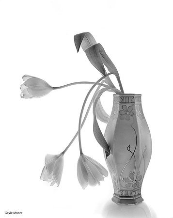 Three Tulips and Vase