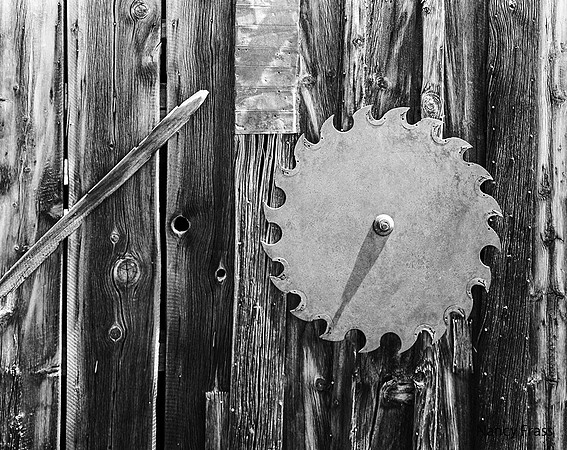 Nancy Frass - Wood Shop