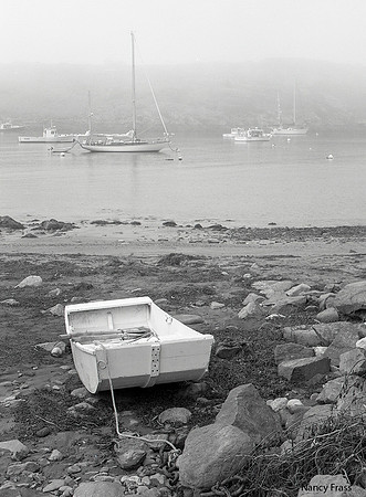 Nancy Frass - Foggy Morning