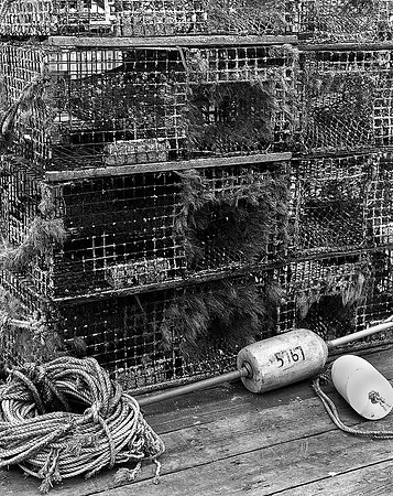 Lobster Traps